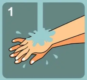 wudu