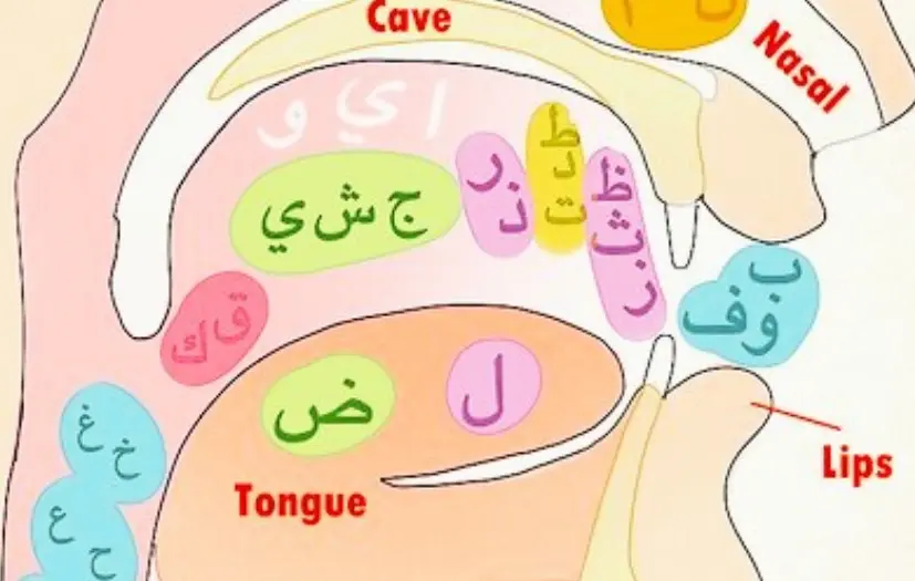 Basics of arabic alphabet pronounce
