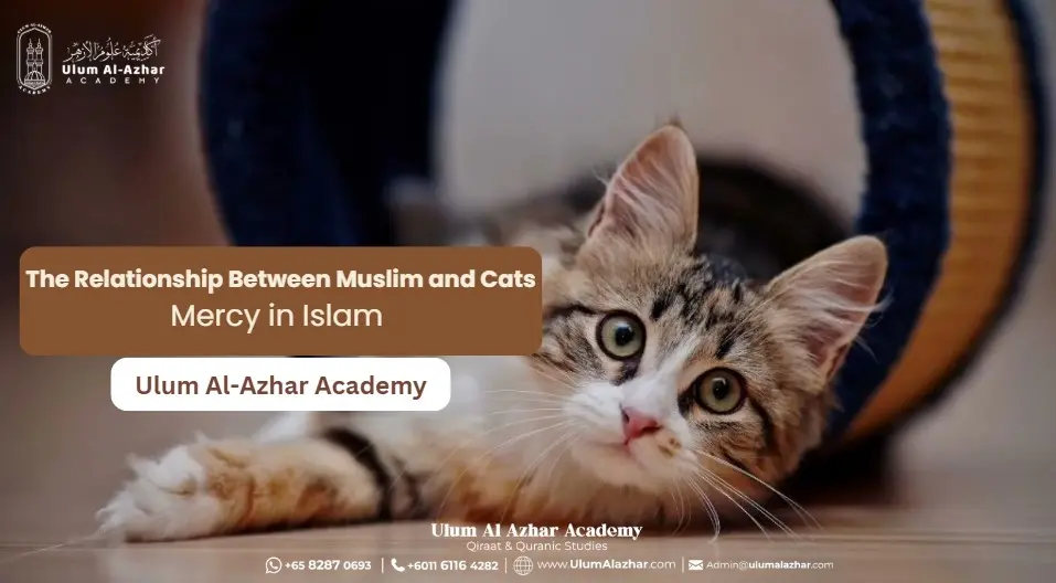 The Relationship Between Muslim and Cats: Mercy in Islam  