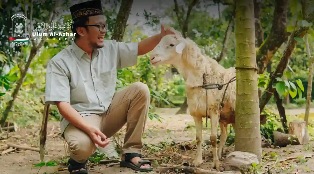 what is a qurbani