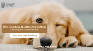 What Islam Says About Muslims and Dogs: Clarifying the Misconceptions