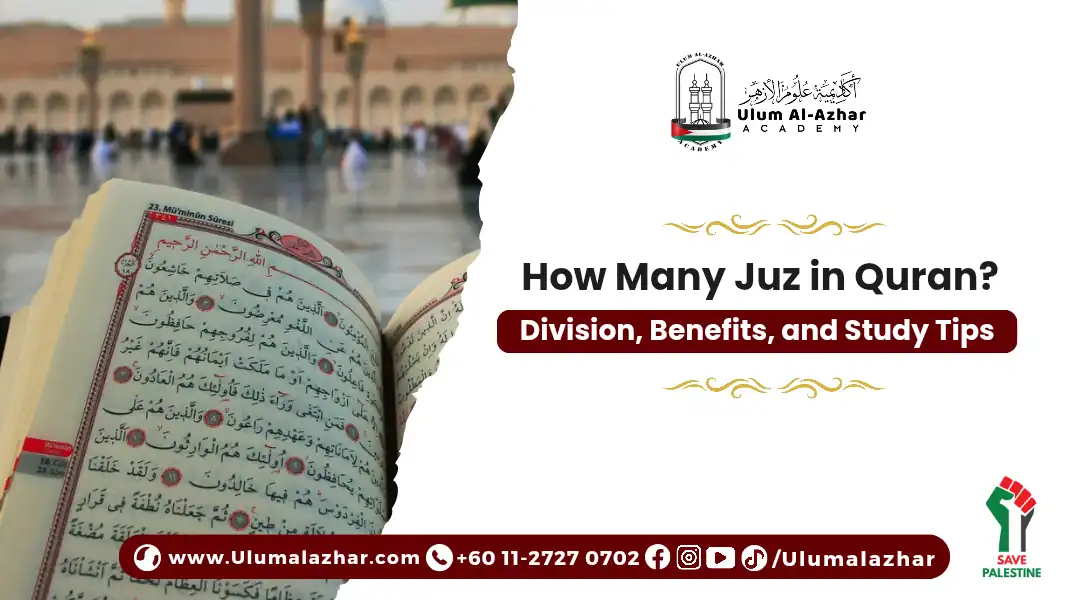 How Many Juz in Quran? Division, Benefits, and Study Tips