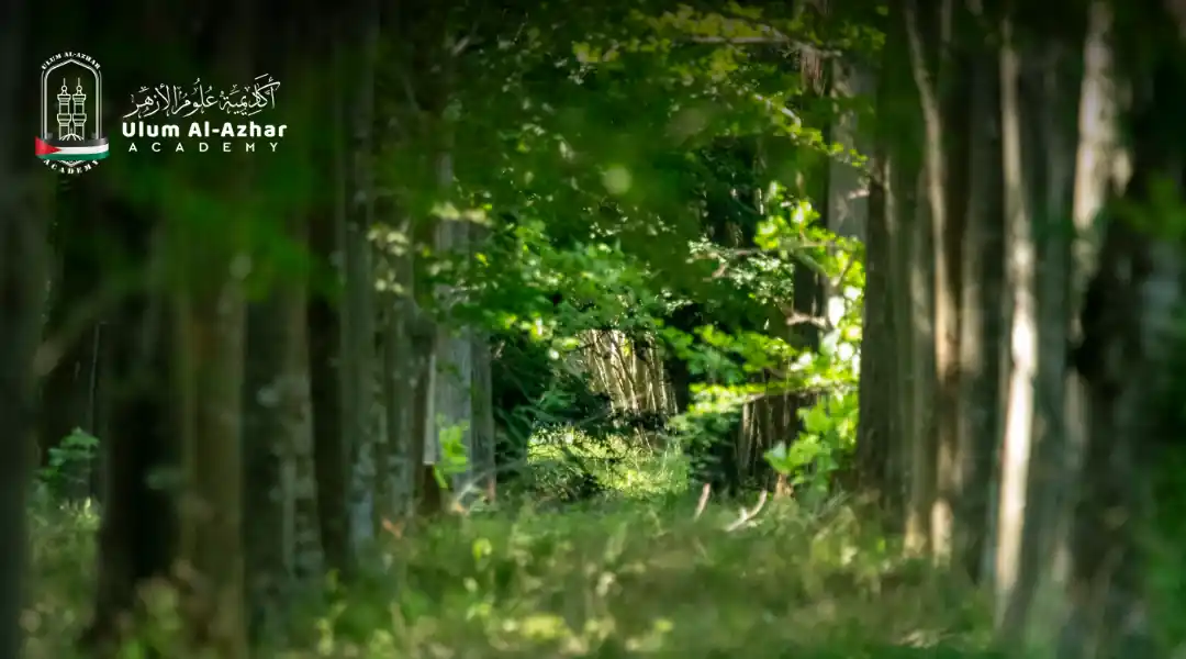 Surah Al Kahfi Terjemahan 10 ayat pertama Surah Al-Kahf